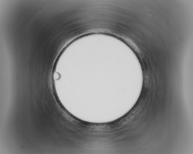 X0000111650895200908281047