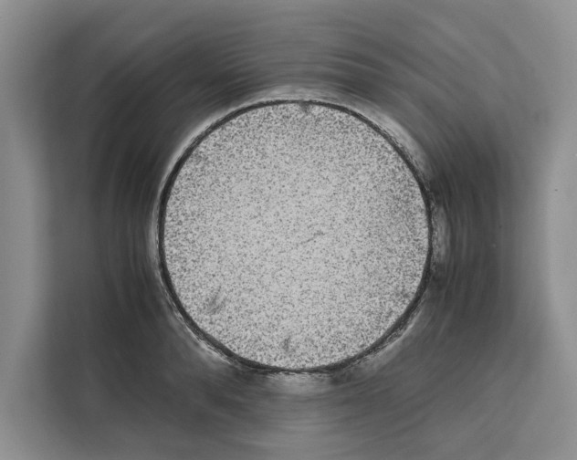 X0000111650896200908281047