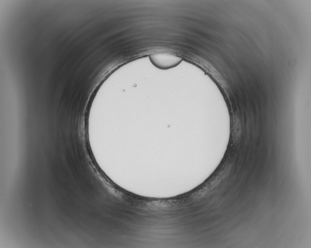 X0000111650898200908281047