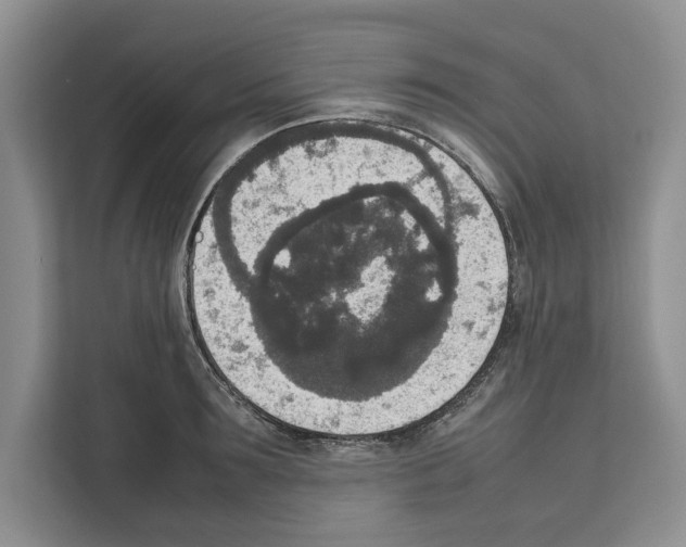 X0000111650899200908281047