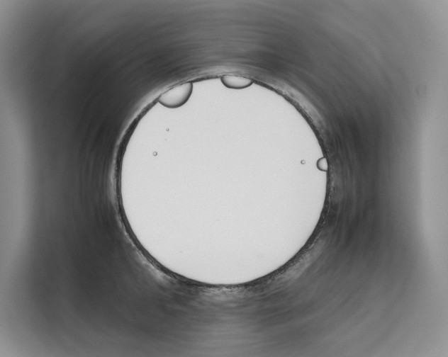 X0000111650902200908281047