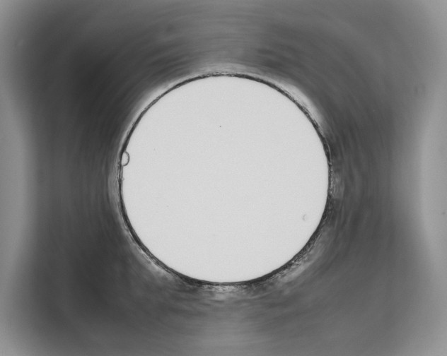 X0000111650903200908281047