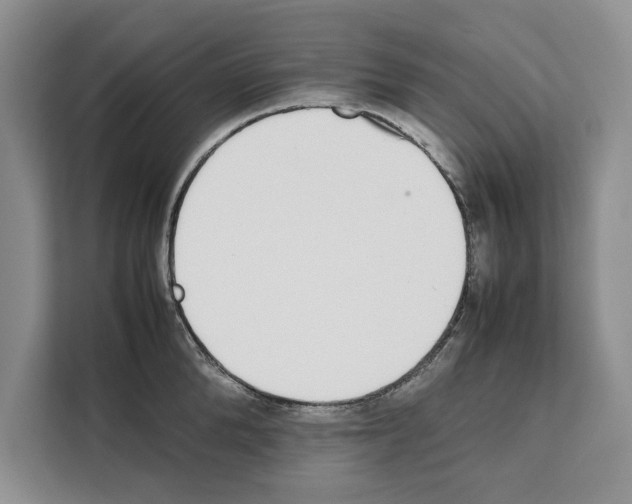 X0000111650904200908281047