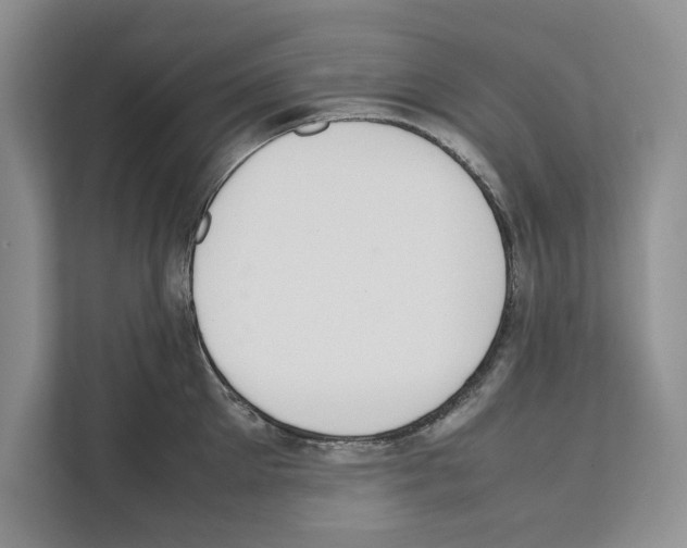 X0000111650905200908281047