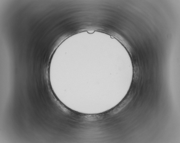 X0000111650906200908281047