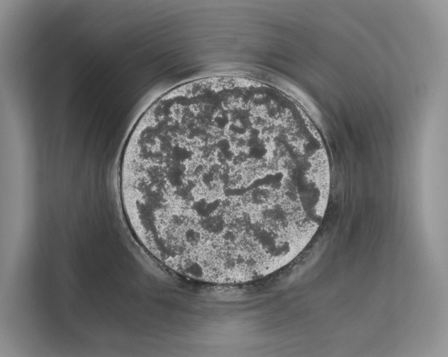 X0000111650907200908281047