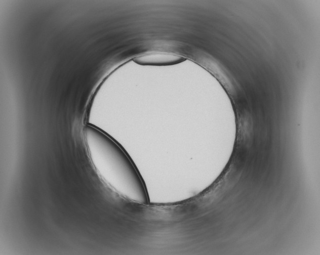 X0000111650908200908281047