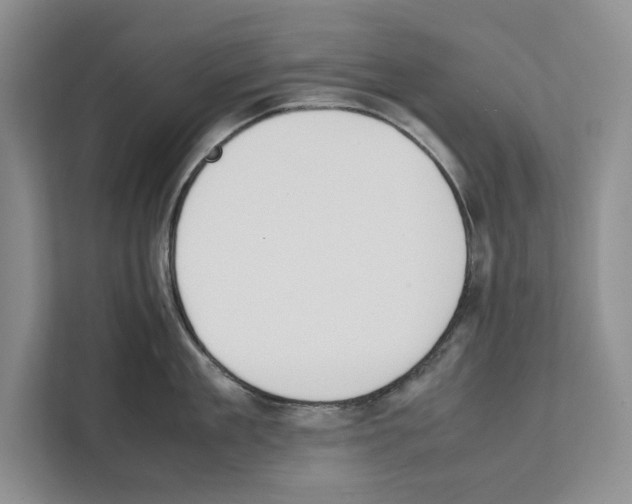 X0000111650909200908281047