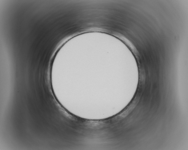 X0000111650910200908281047