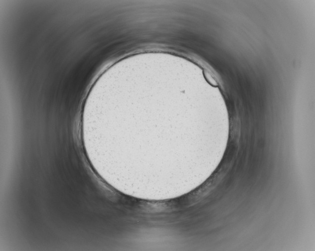 X0000111650911200908281047