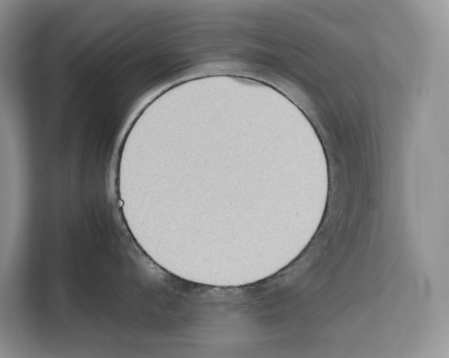 X0000111650912200908281047