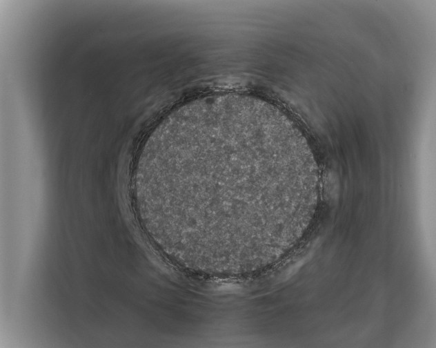 X0000111650913200908281046