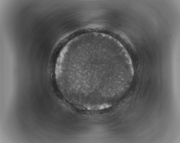 X0000111650920200908281046