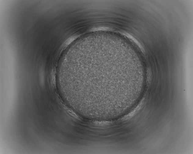 X0000111650921200908281046