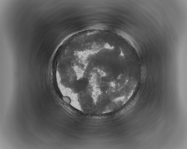 X0000111650923200908281046