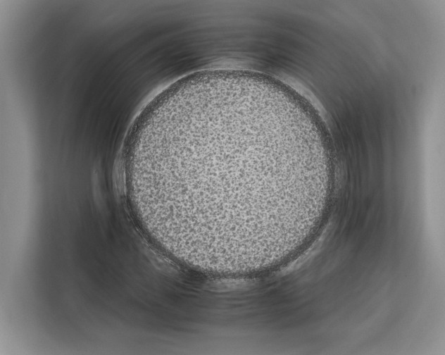 X0000111650925200908281046