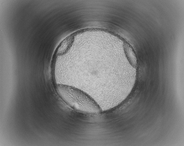 X0000111650928200908281046