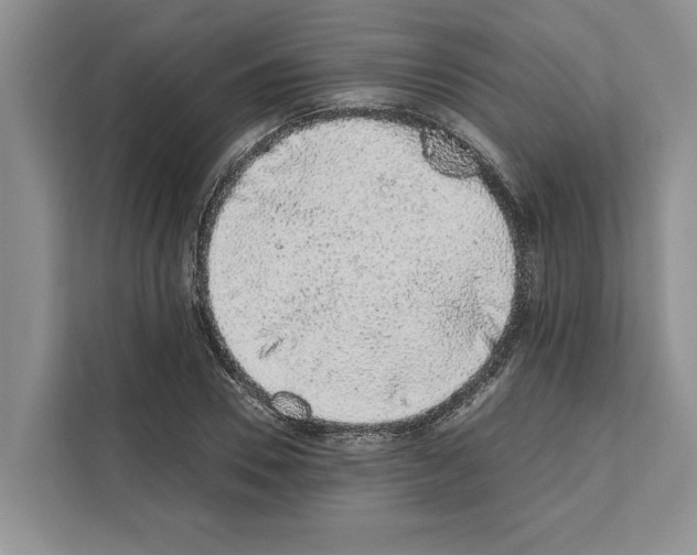 X0000111650930200908281046