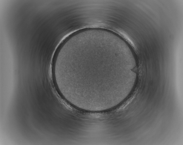 X0000111650932200908281046