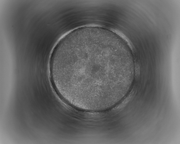 X0000111650935200908281046