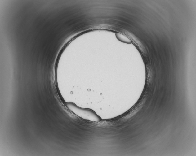 X0000111650940200908281046