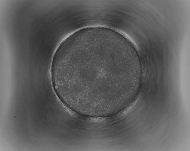X0000111650943200908281046