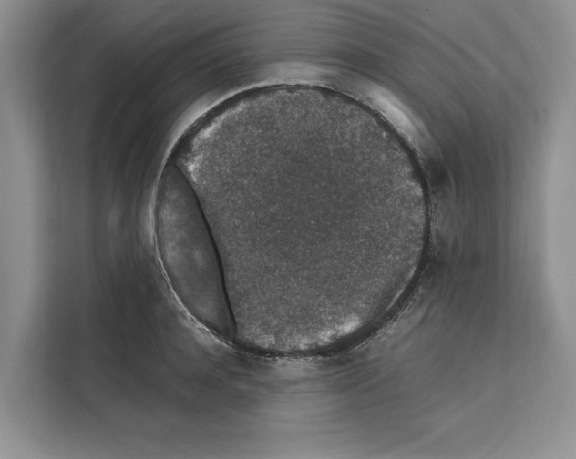 X0000111650944200908281046