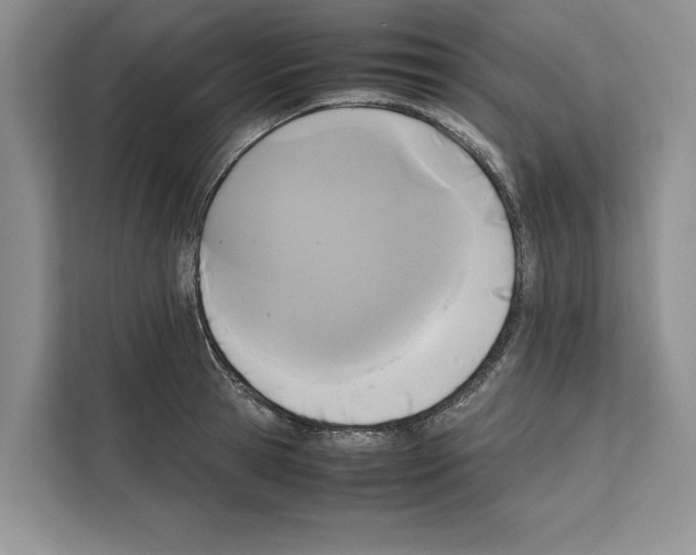 X0000111650945200908281046