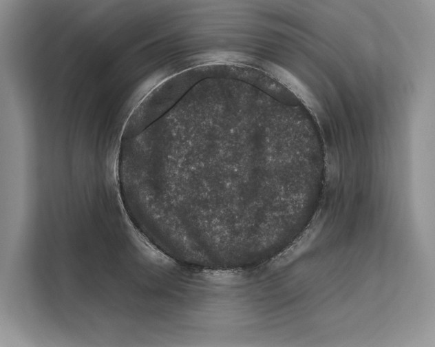 X0000111650946200908281046