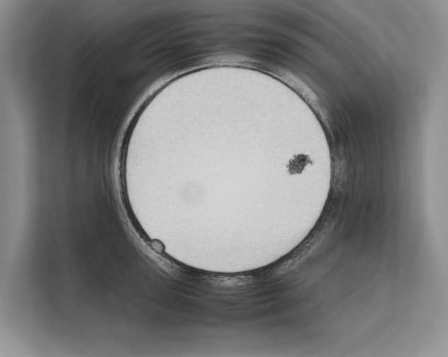 X0000111650947200908281046