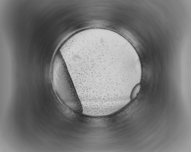 X0000111650948200908281046