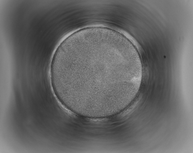 X0000111650951200908281046
