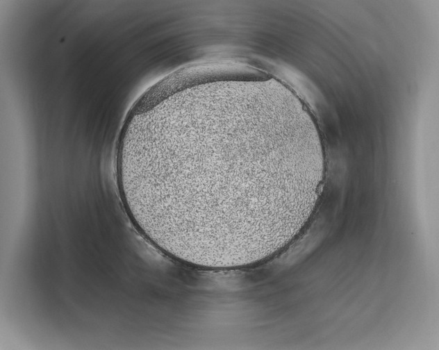X0000111650952200908281046