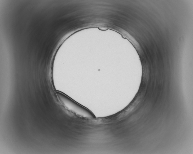 X0000111650956200908281046