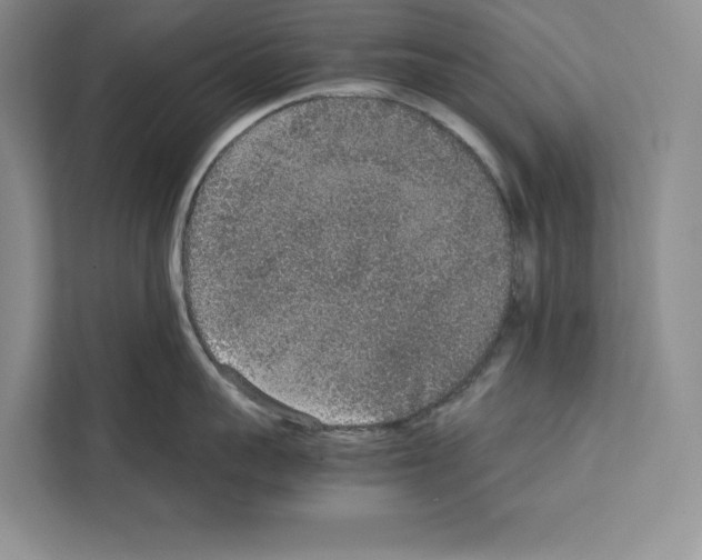 X0000111650959200908281046