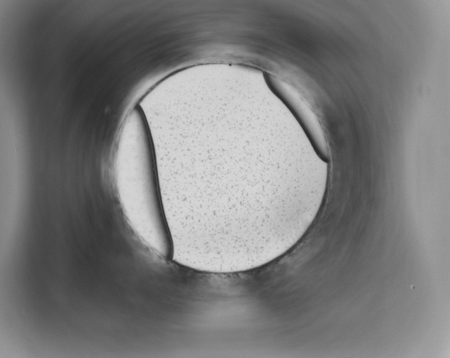 X0000111650960200908281047