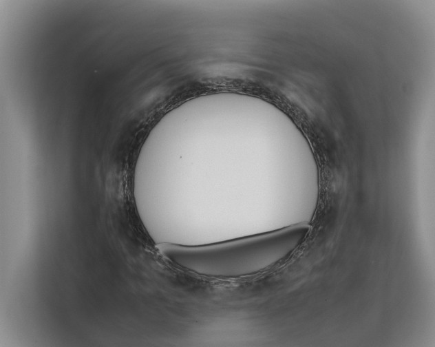 X0000111650965200908281046
