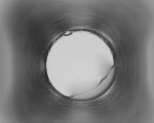 X0000111650969200908281046