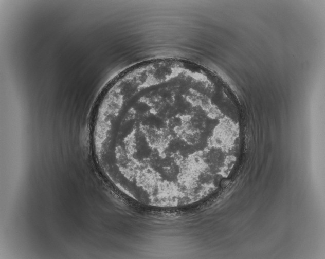 X0000111650975200908281046