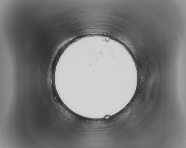X0000111650979200908281046