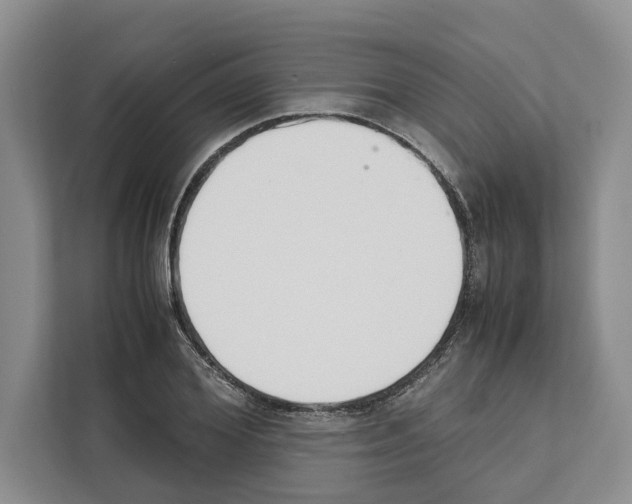 X0000111650980200908281046