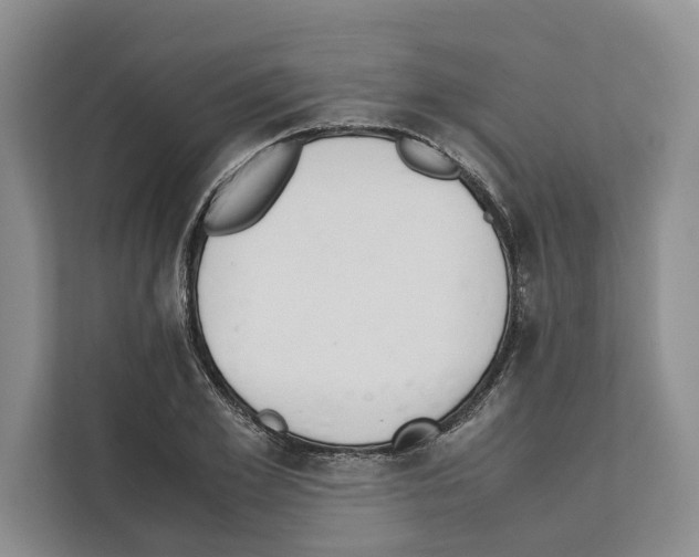 X0000111650981200908281046
