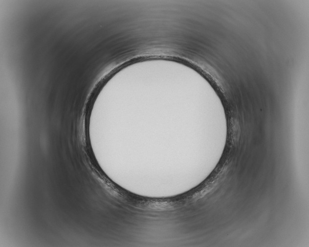 X0000111650982200908281046