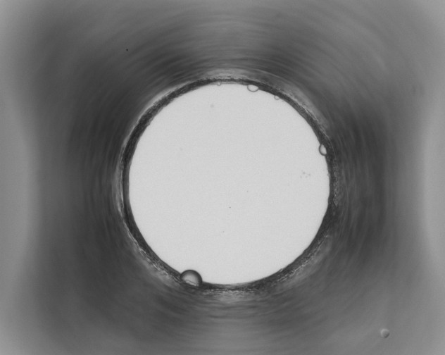 X0000111650984200908281046