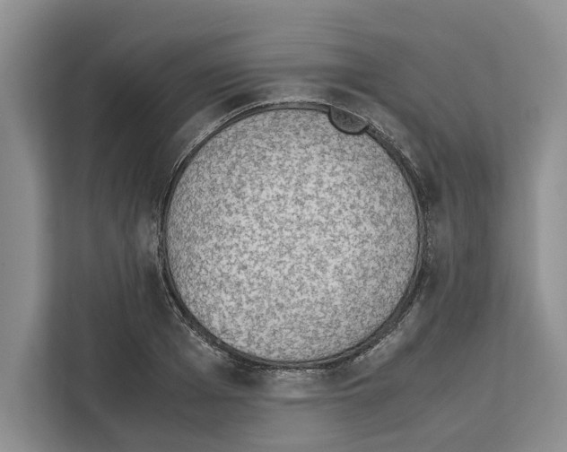 X0000111650985200908281046