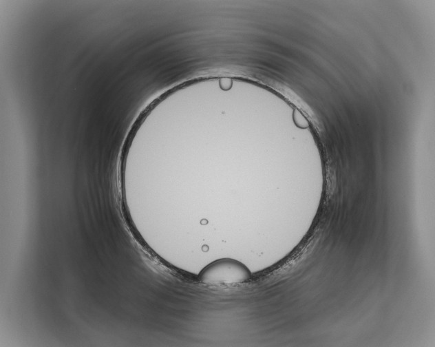 X0000111650988200908281046