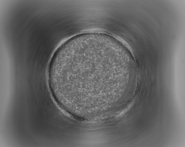 X0000111650989200908281046