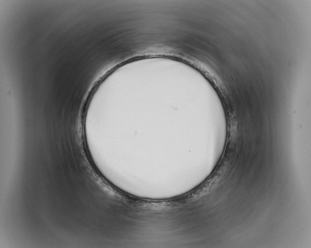 X0000111650990200908281046