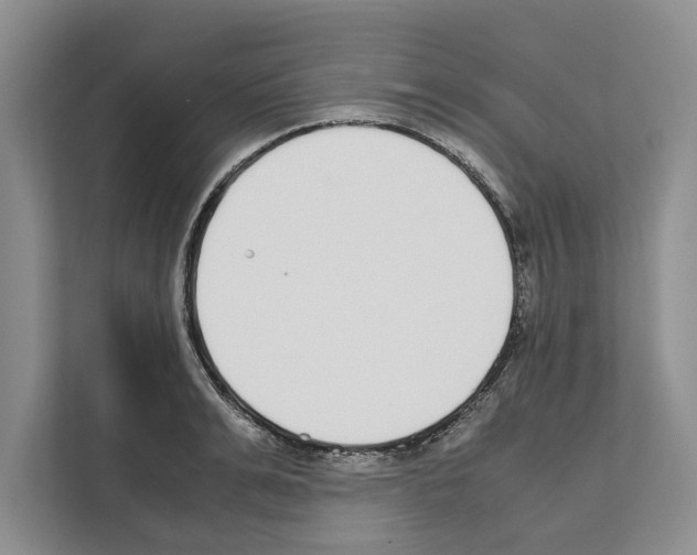 X0000111650991200908281045