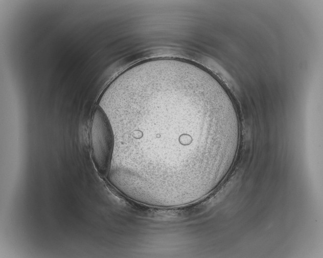 X0000111650993200908281045